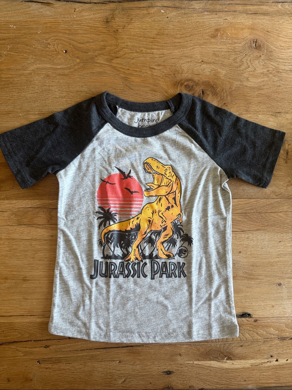NWOT Kids Jurassic Park T‑Shirt - Gray and Black